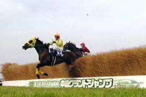 Saut au prix de Nakayama